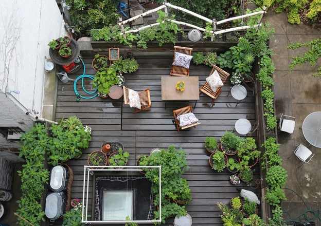 No Allotment, No Problem - Compact Gardening Solutions for City Dwellers