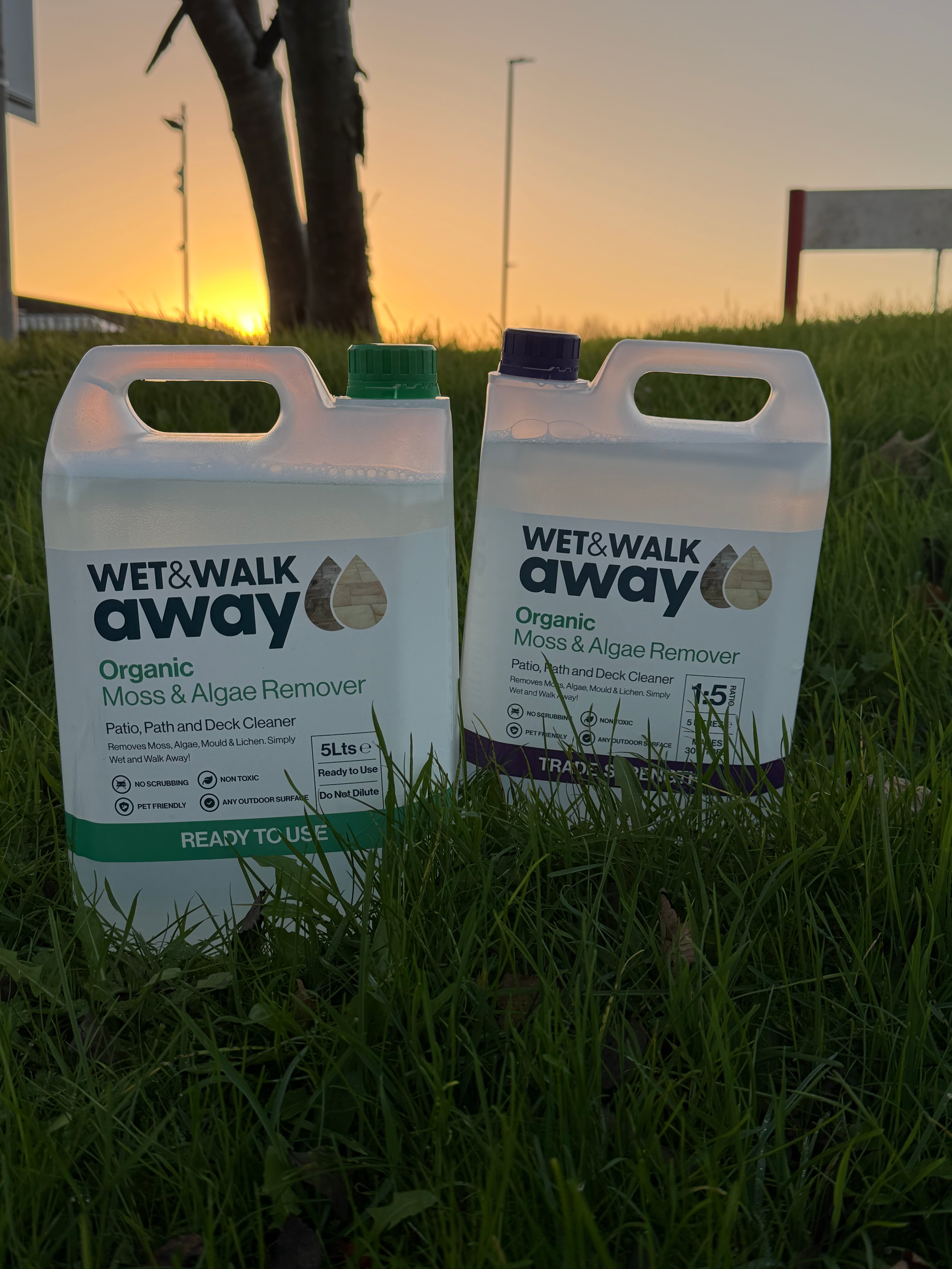 Transform Your Outdoors with Wet & Walk Away Moss & Algae Killer