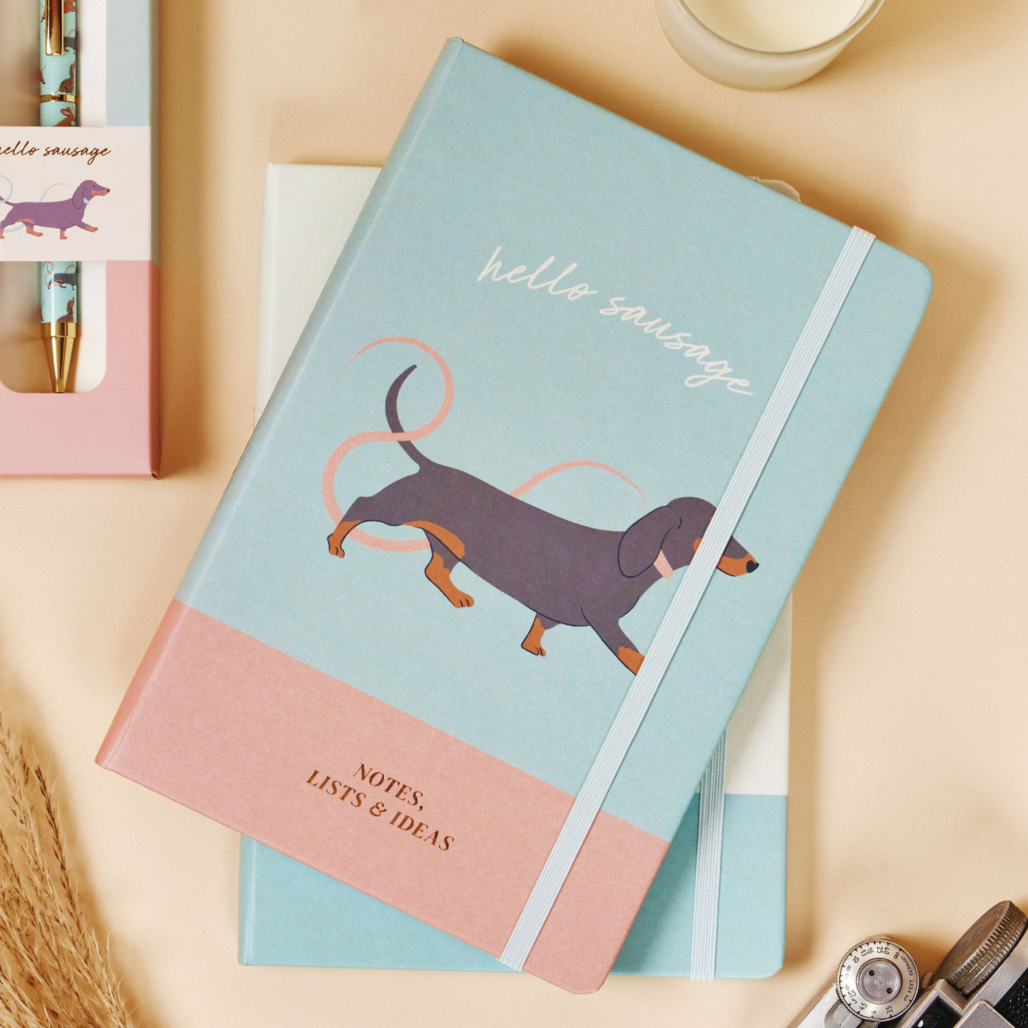Dachshund A5 Notebooks