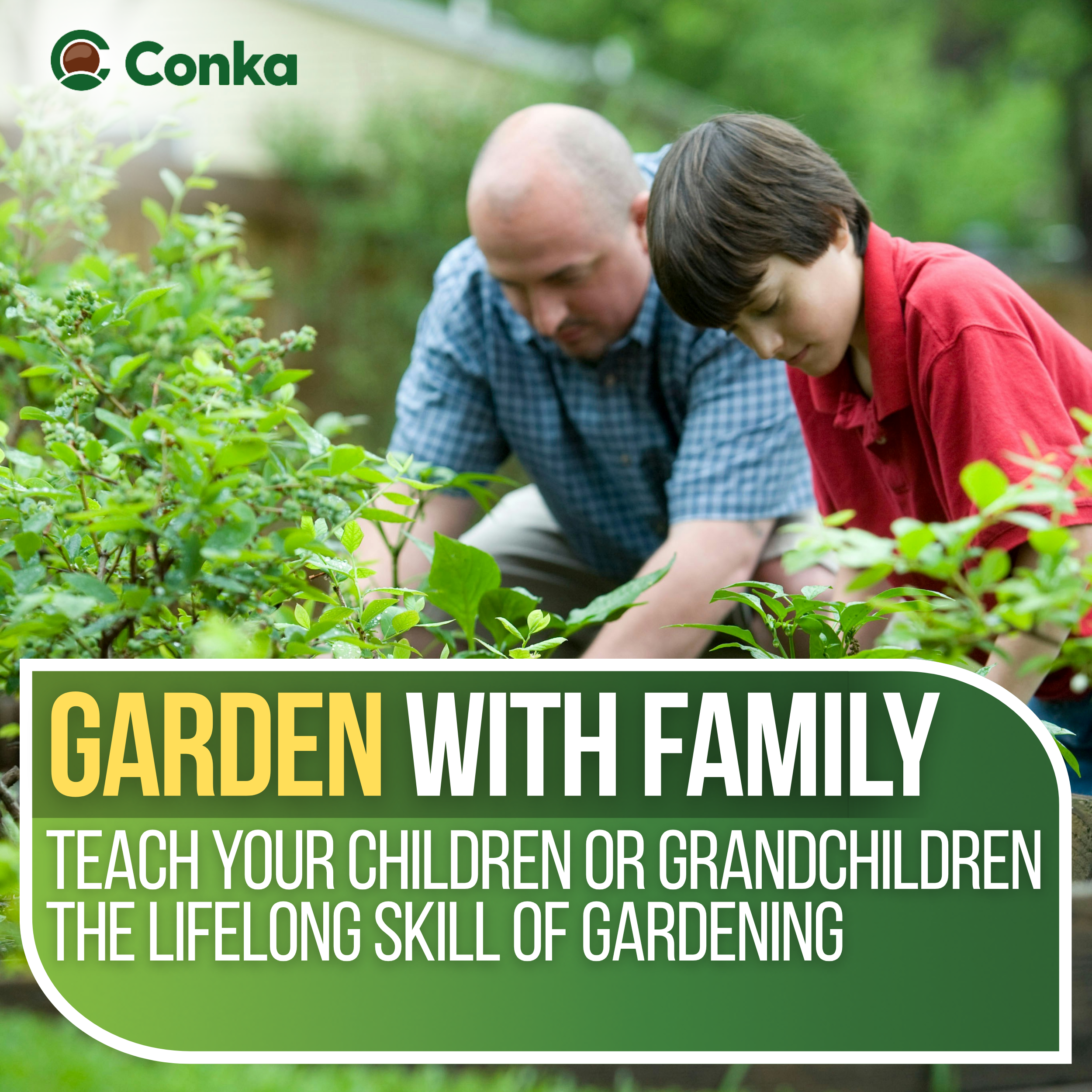 Wooden Garden Raised Grow Beds - FSC Treated Timber - Various Sizes