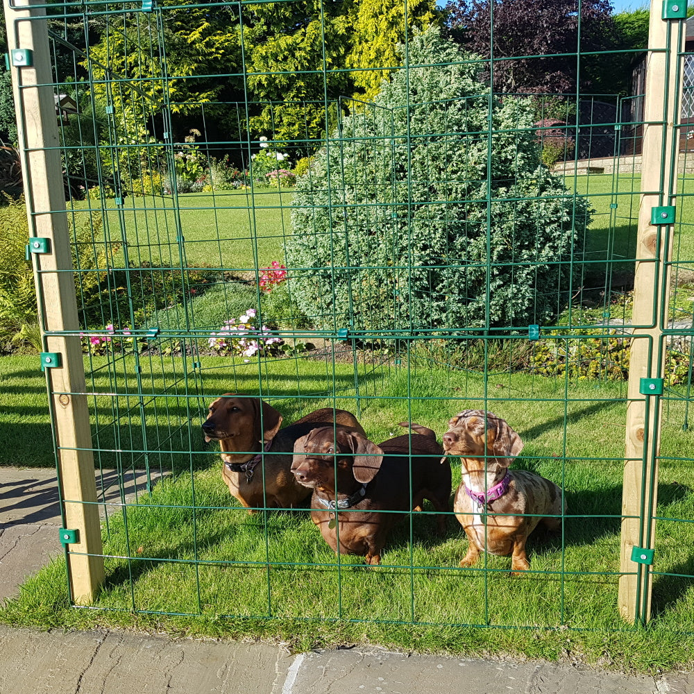 1.5m High Outdoor Mesh Panel Fence – Ideal for All Dogs