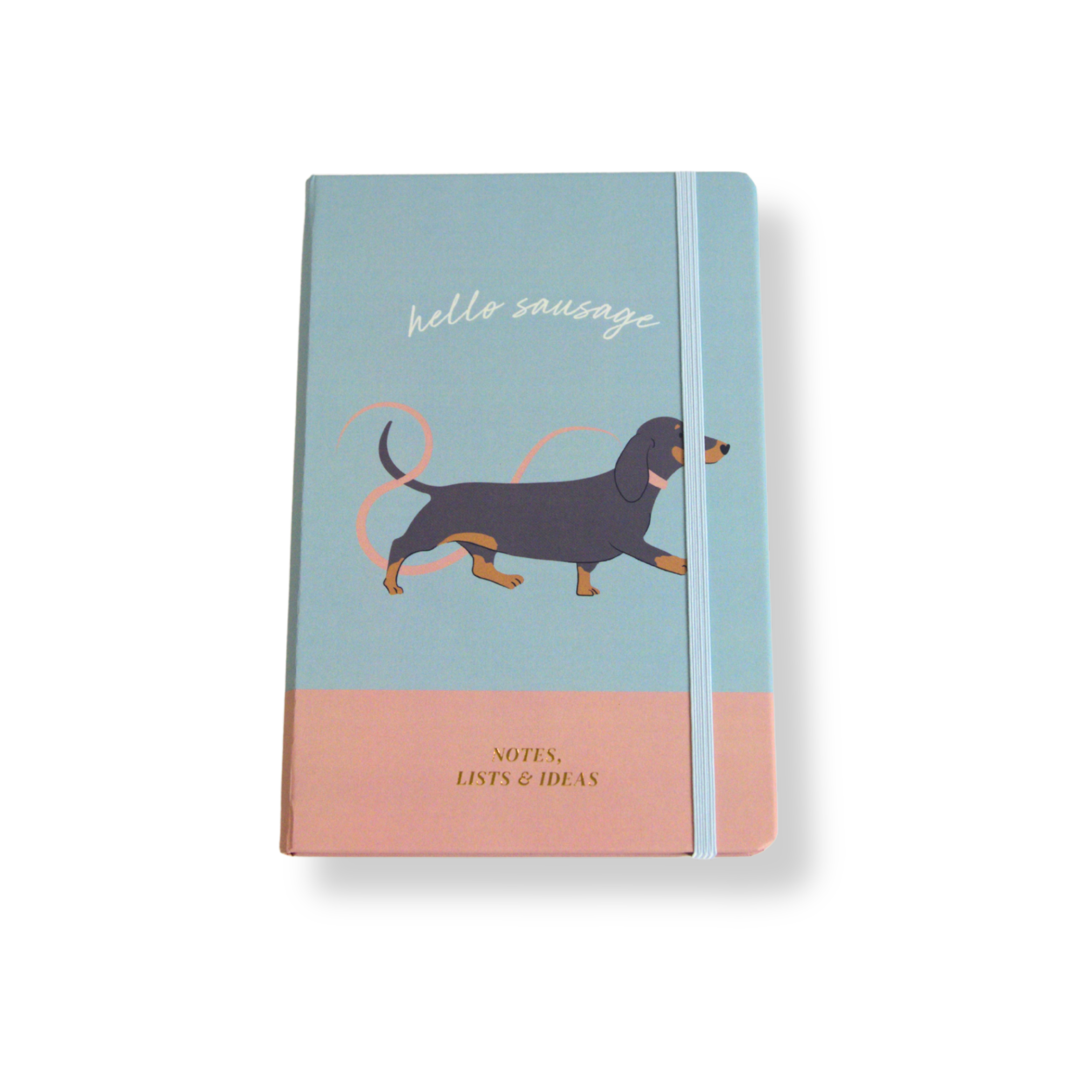 Dachshund A5 Notebooks