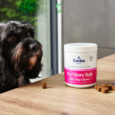 Conka Pets No More Itch Salmon Flavoured Dog Chews