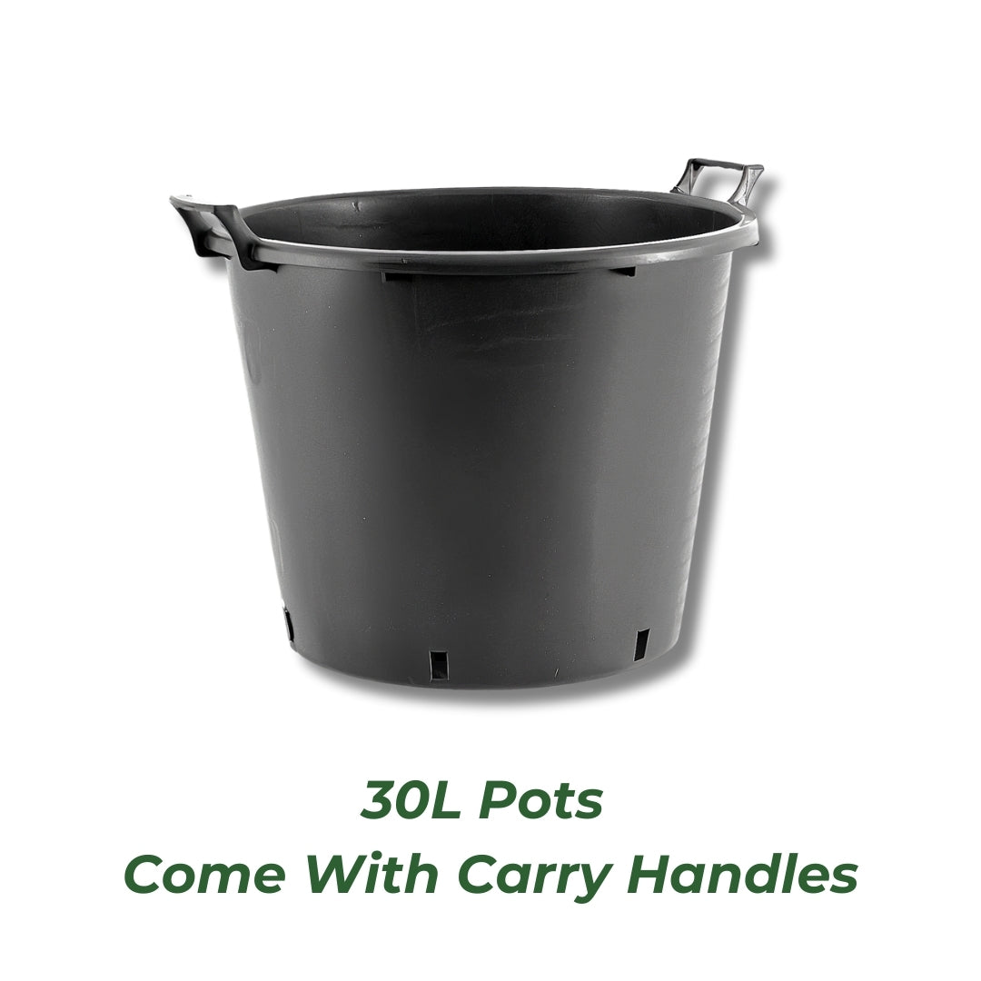 30 litre heavy duty plant pots 30 Litre Heavy Duty Pots With Handles Complete With 35cm Saucers – Conka