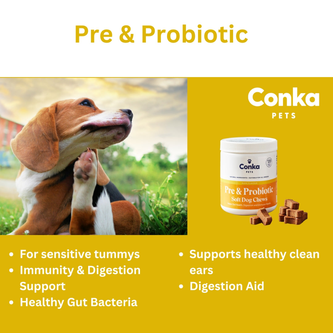 Conka Pets Pre & Pro Biotic Dog Chews