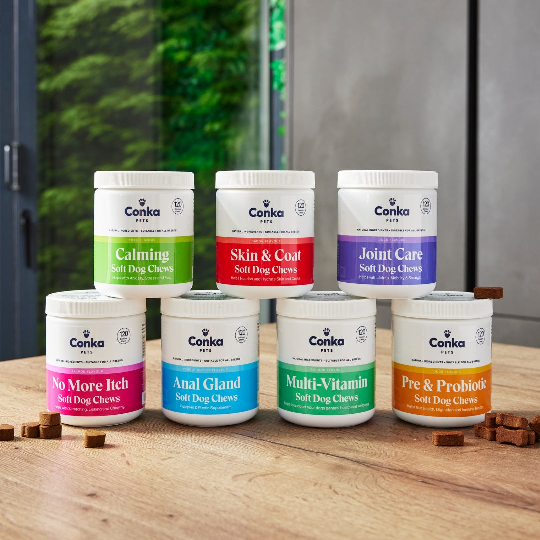 Conka Pets Pre & Pro Biotic Dog Chews