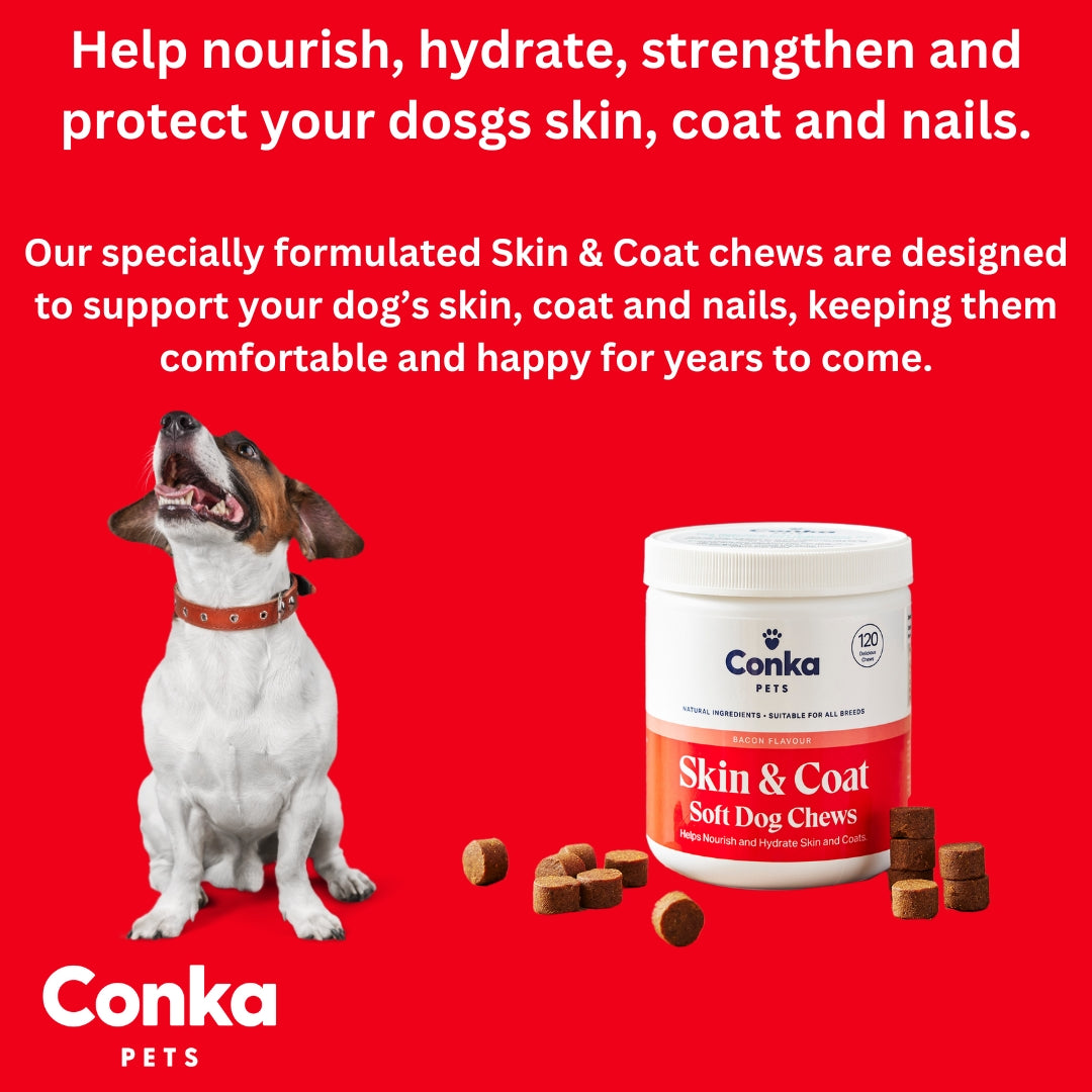 Conka Skin & Coat Dog Chews