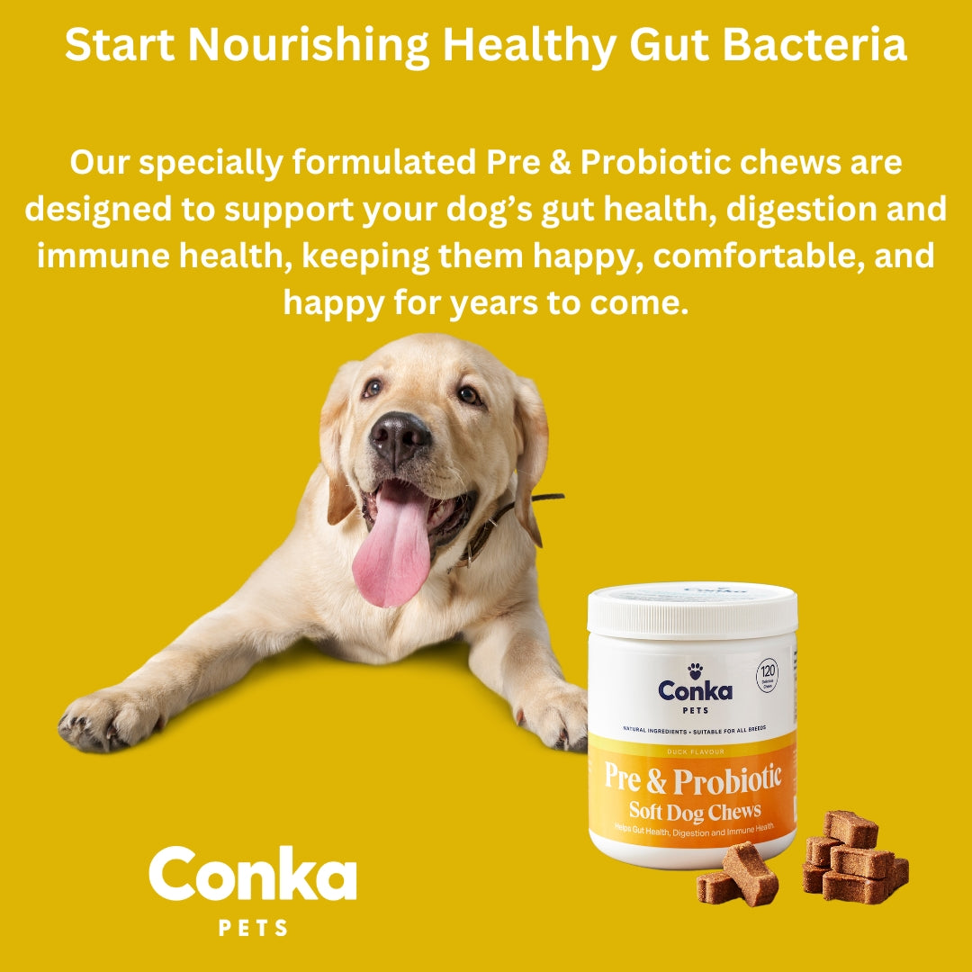 Conka Pets Pre & Pro Biotic Dog Chews