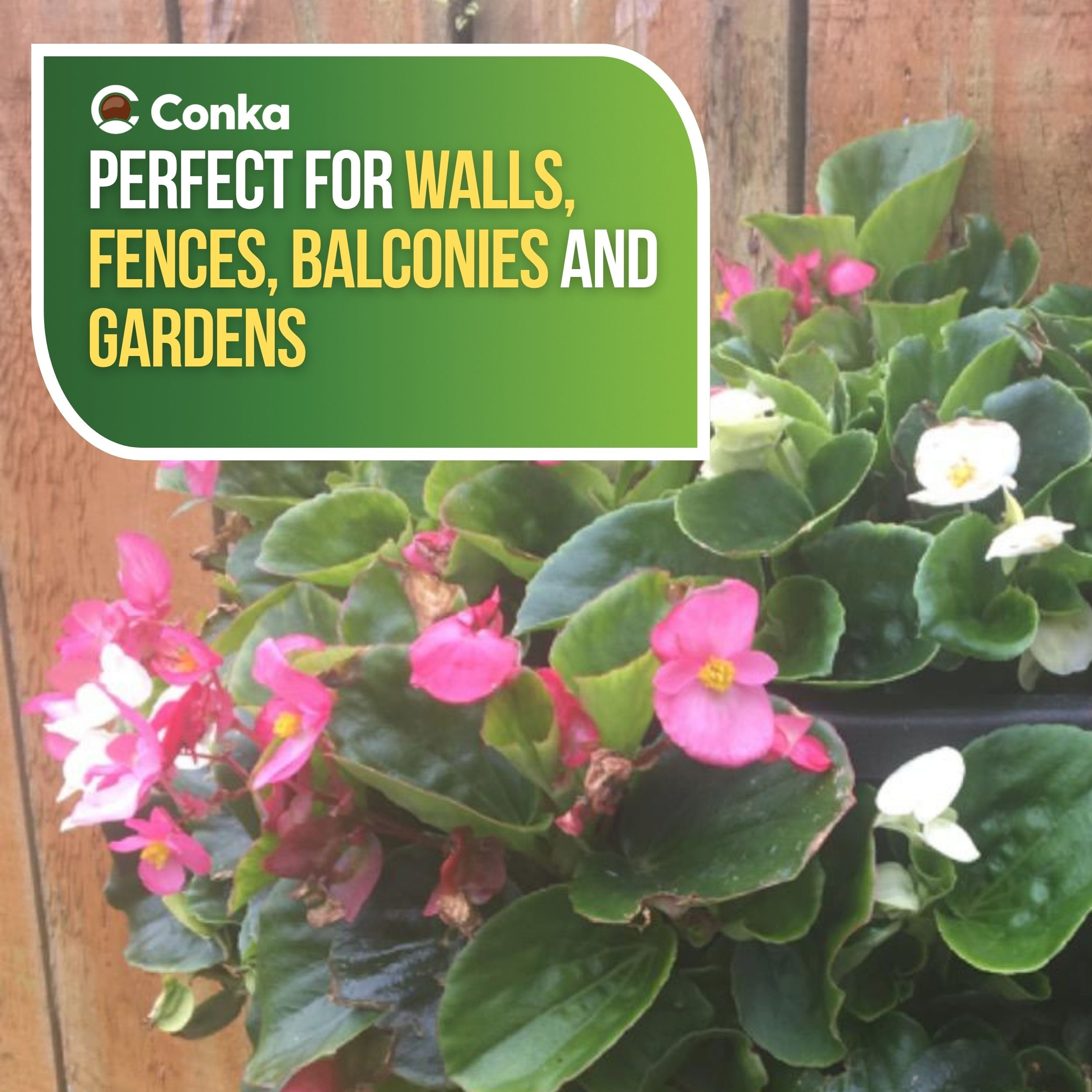 Plantopia/Easy Fill® Wall Basket Black or Green