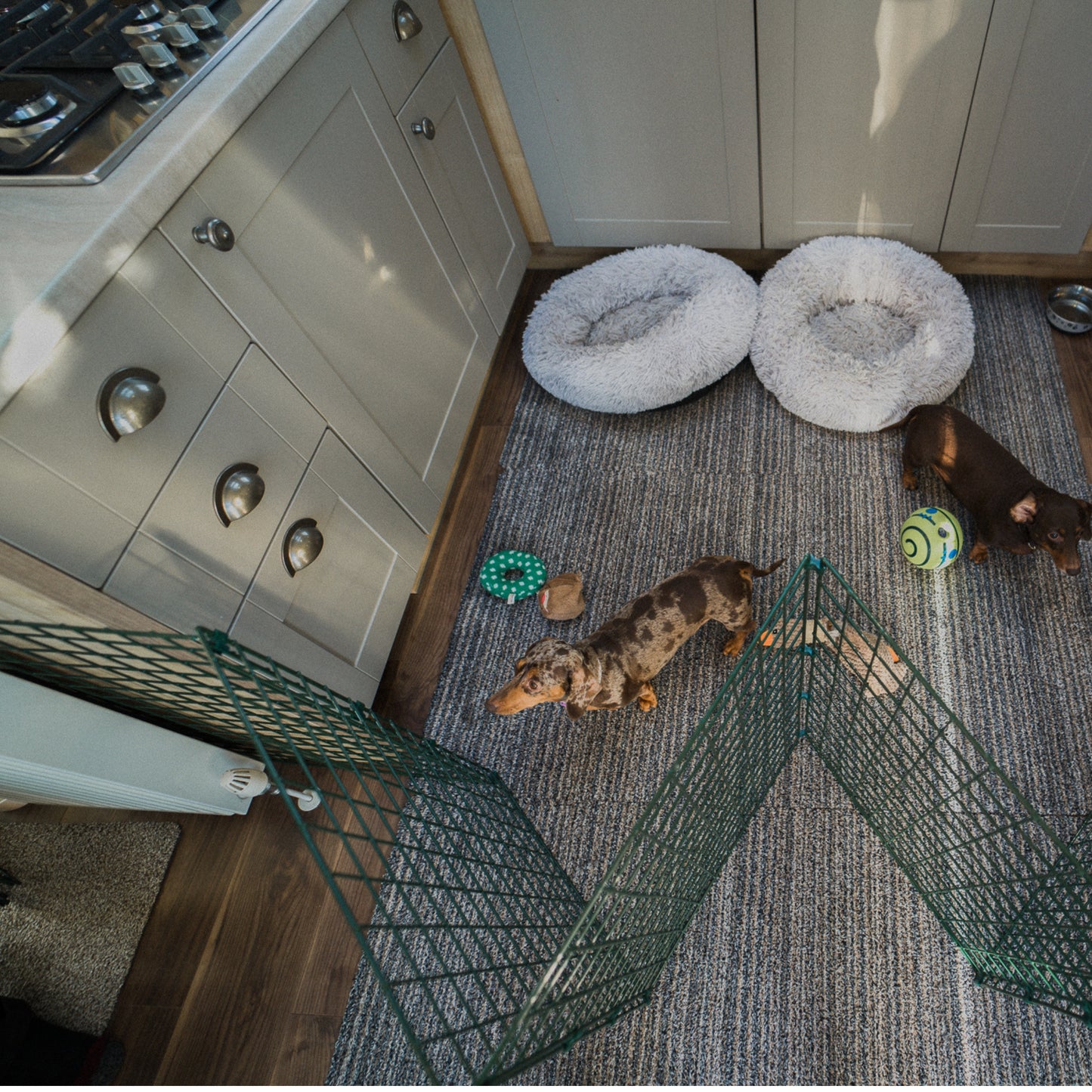 1m High Indoor Dog Fencing