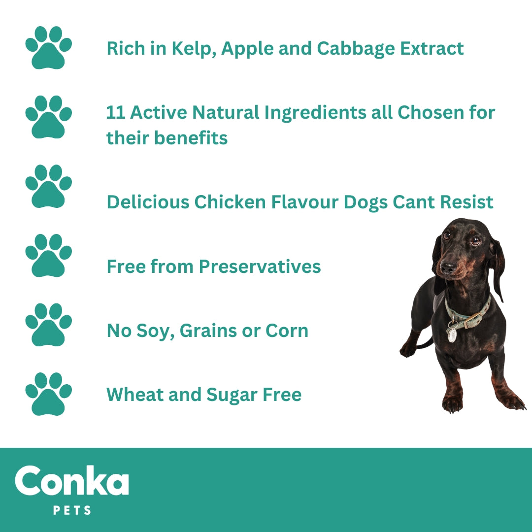 Conka Plaque Off Powder for Dogs