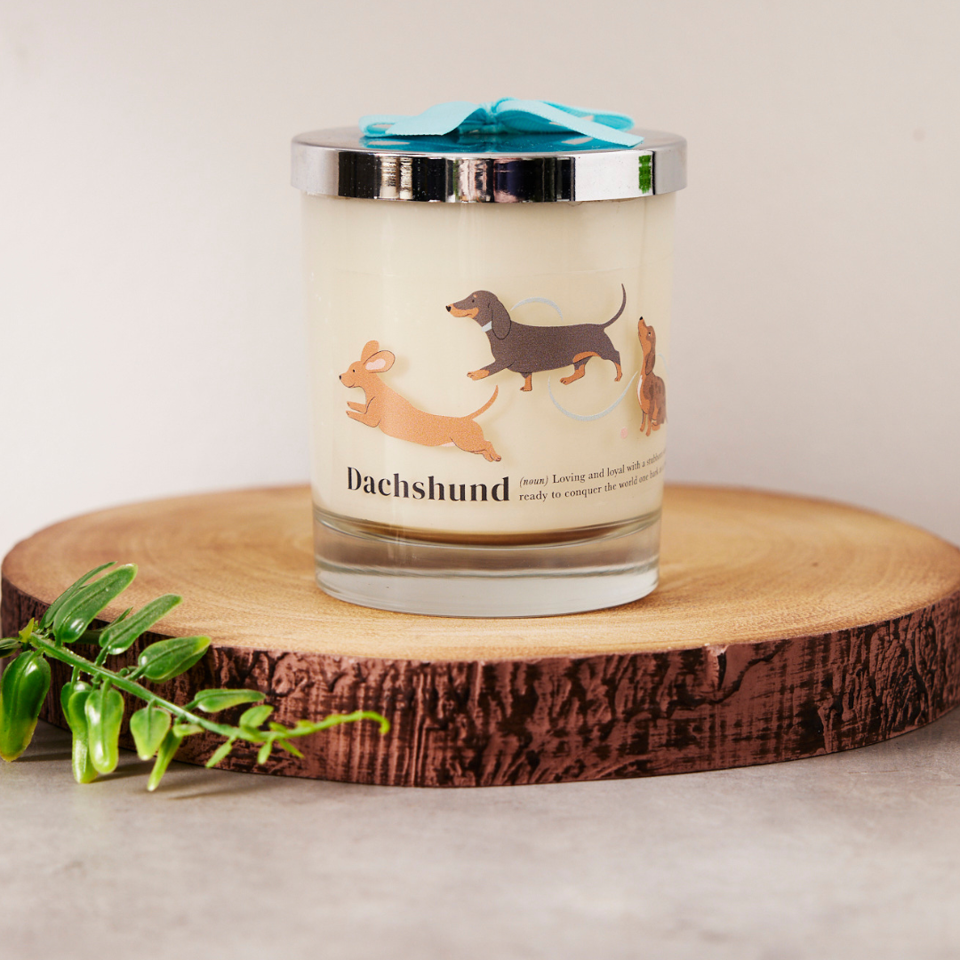 DACHSHUND Relax & Paws Blanket & Candle Gift Set