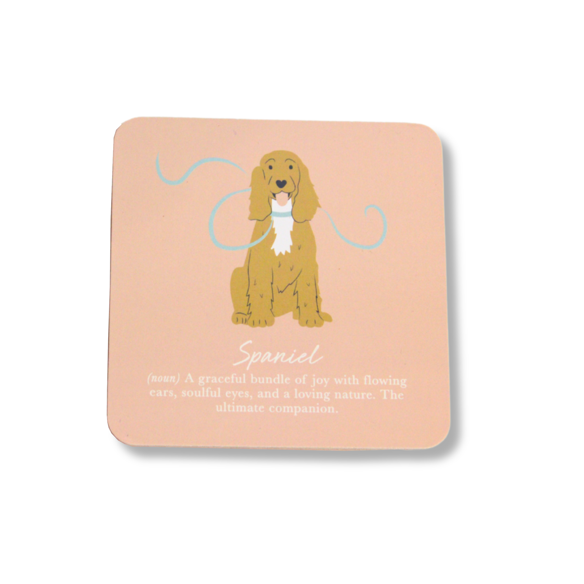 Spaniel Mug & Coaster Set
