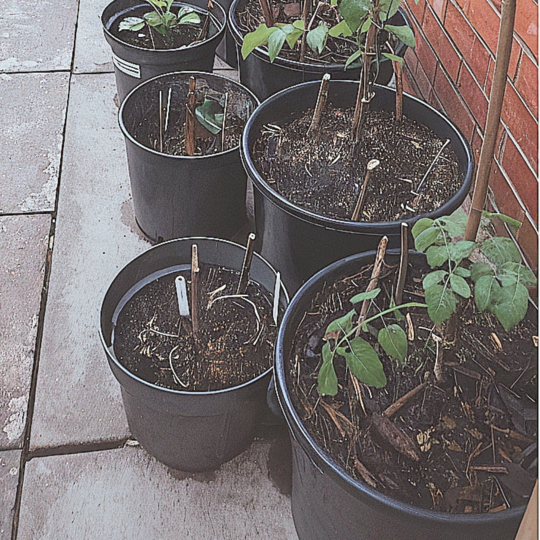 30 Litre Heavy Duty Pots With Handles Complete With 35cm Saucers