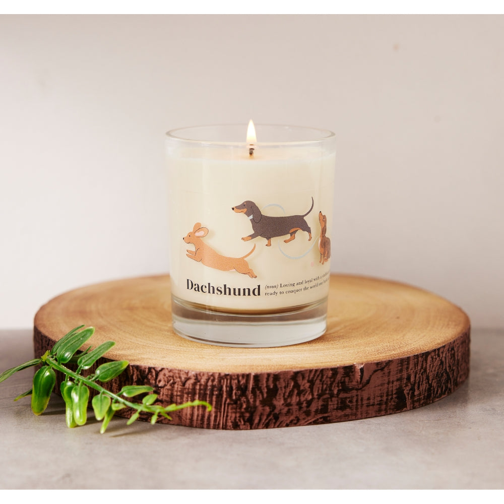 Dachshund Sausage Dog Luxury Candle