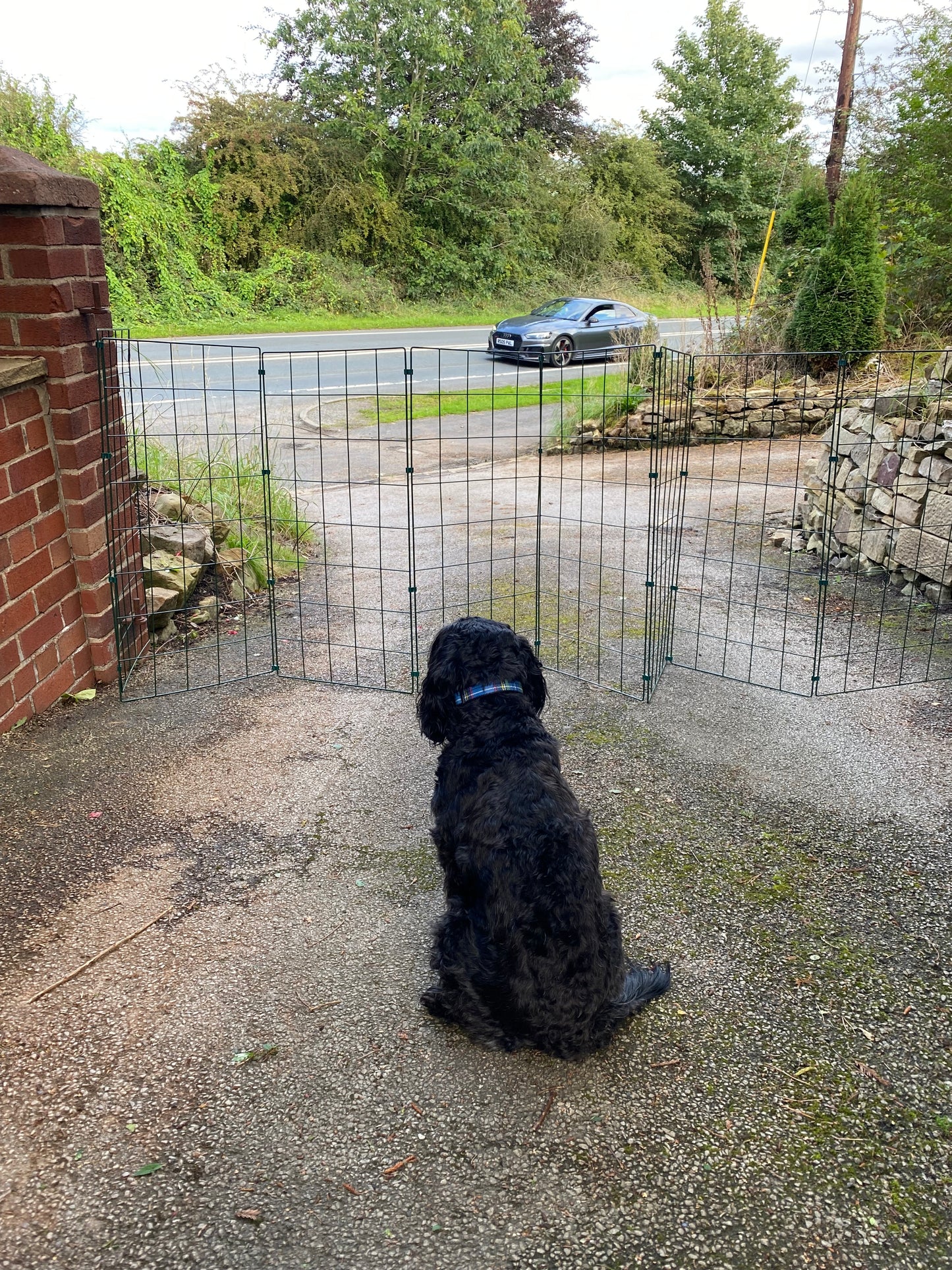 1m High Foldable Dog Fencing - 100mm x 125mm Mesh Size