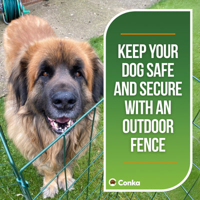 1m High Folding Dog Fence - 100mm x 125mm Mesh Size