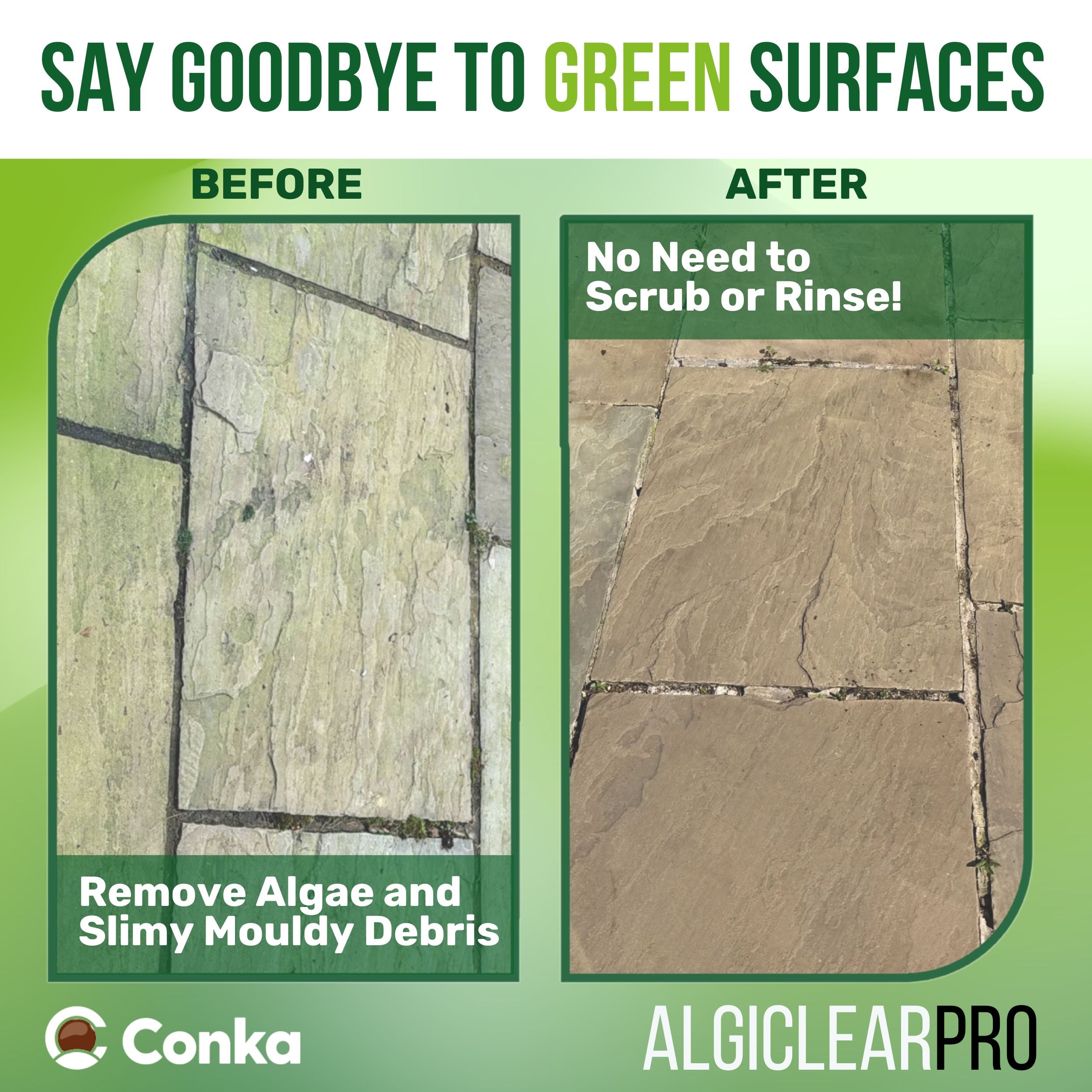 Algiclear Pro Ready To Use 5ltr