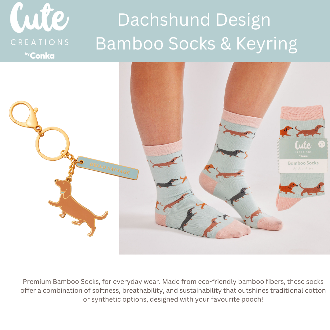 Dachshund 'Warm Soles & Goals' Gift Set - Socks, Large Candle, Coaster, Mug, Pen, Keyring