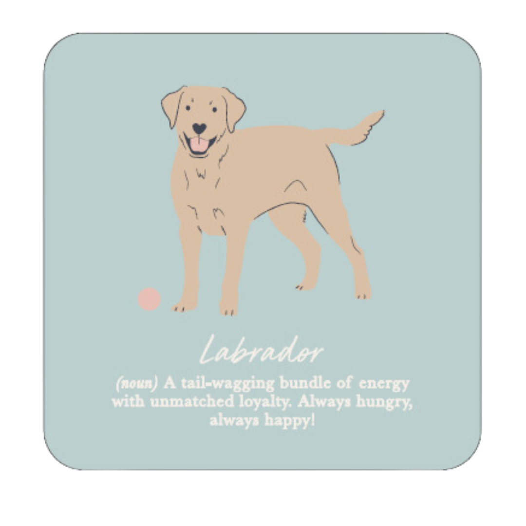 Labrador Coaster