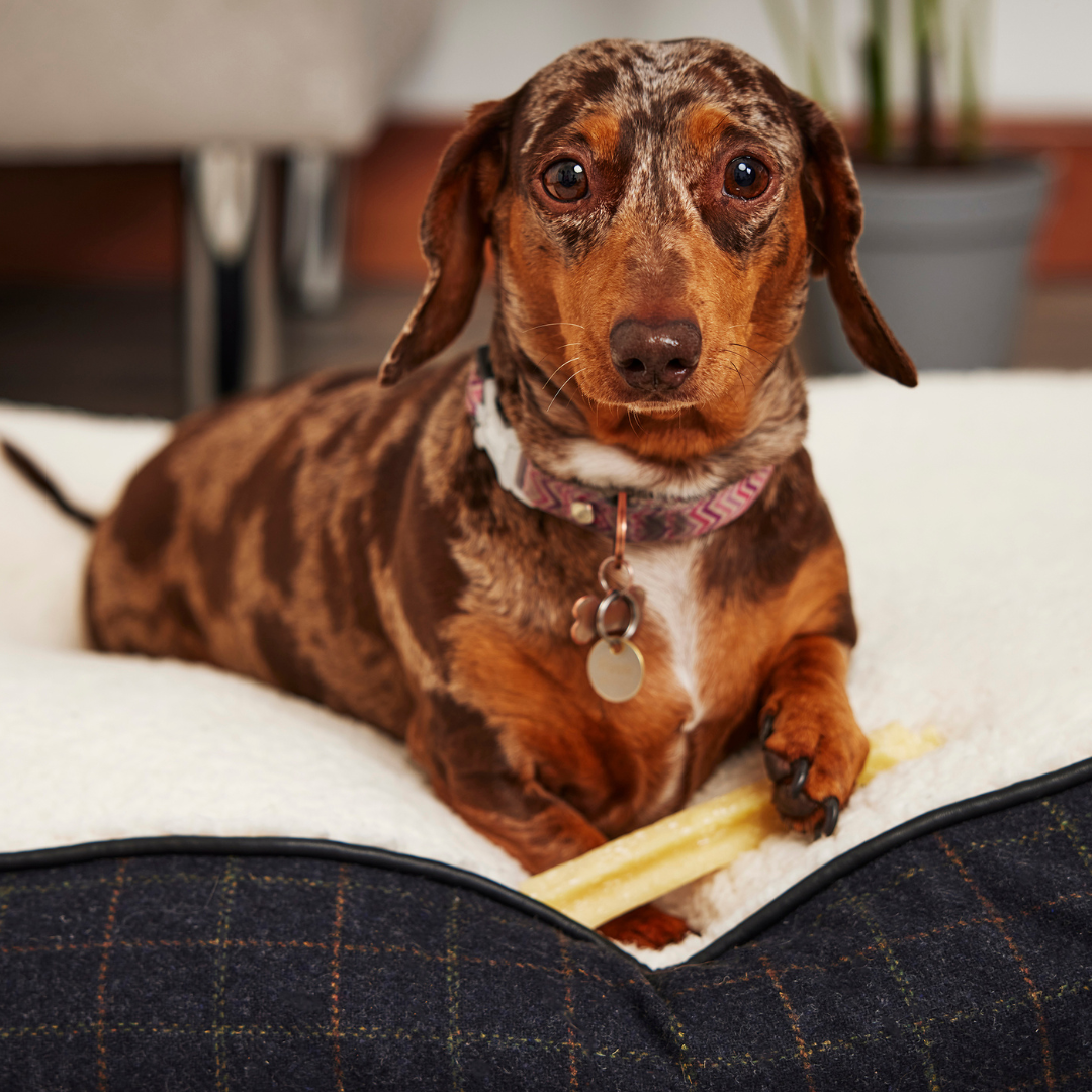 Natural Himalayan Long Lasting YAK Chews