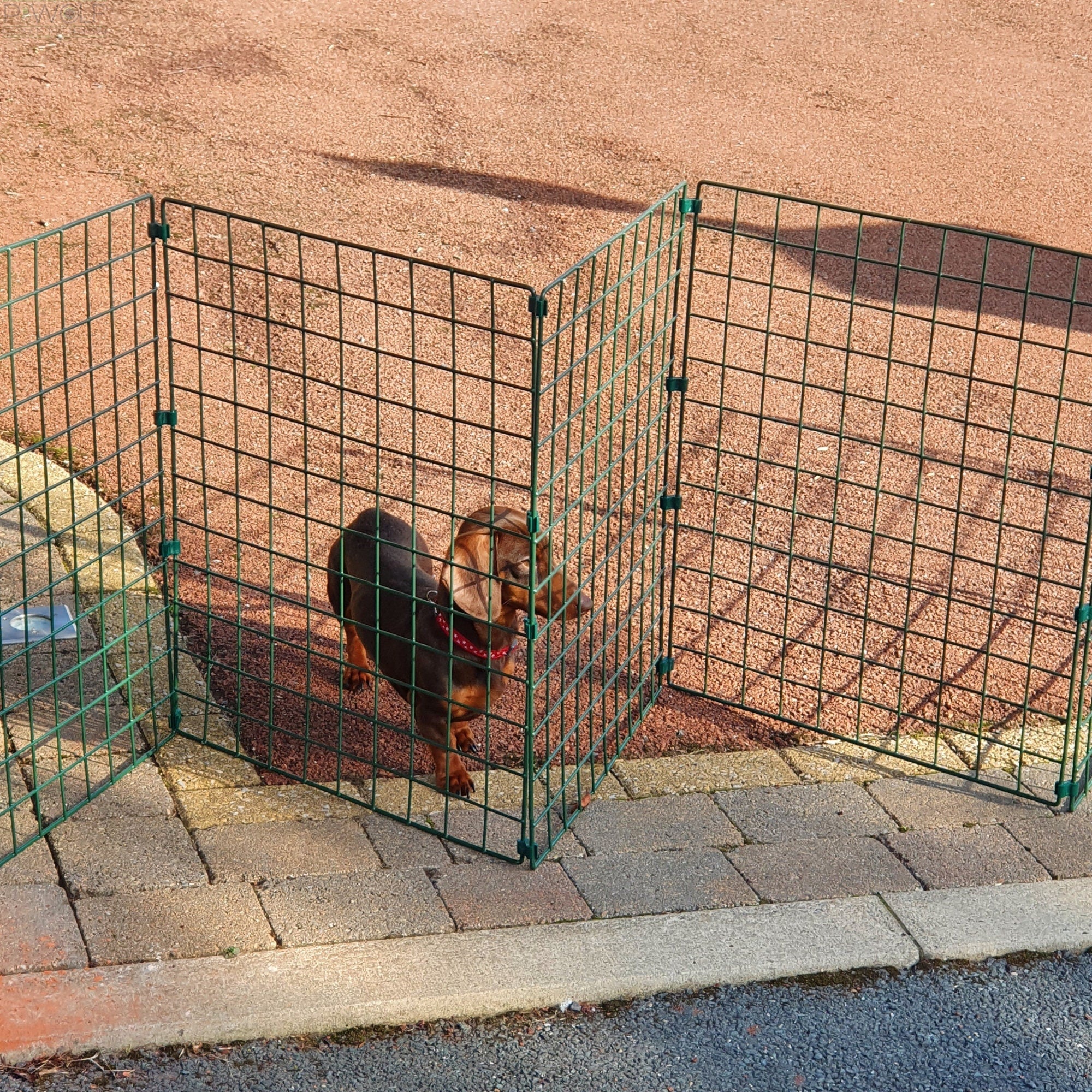 Folding Dog Fence - 60cm High (50mm x 50mm Mesh) Ideal for Puppy/Small Dogs