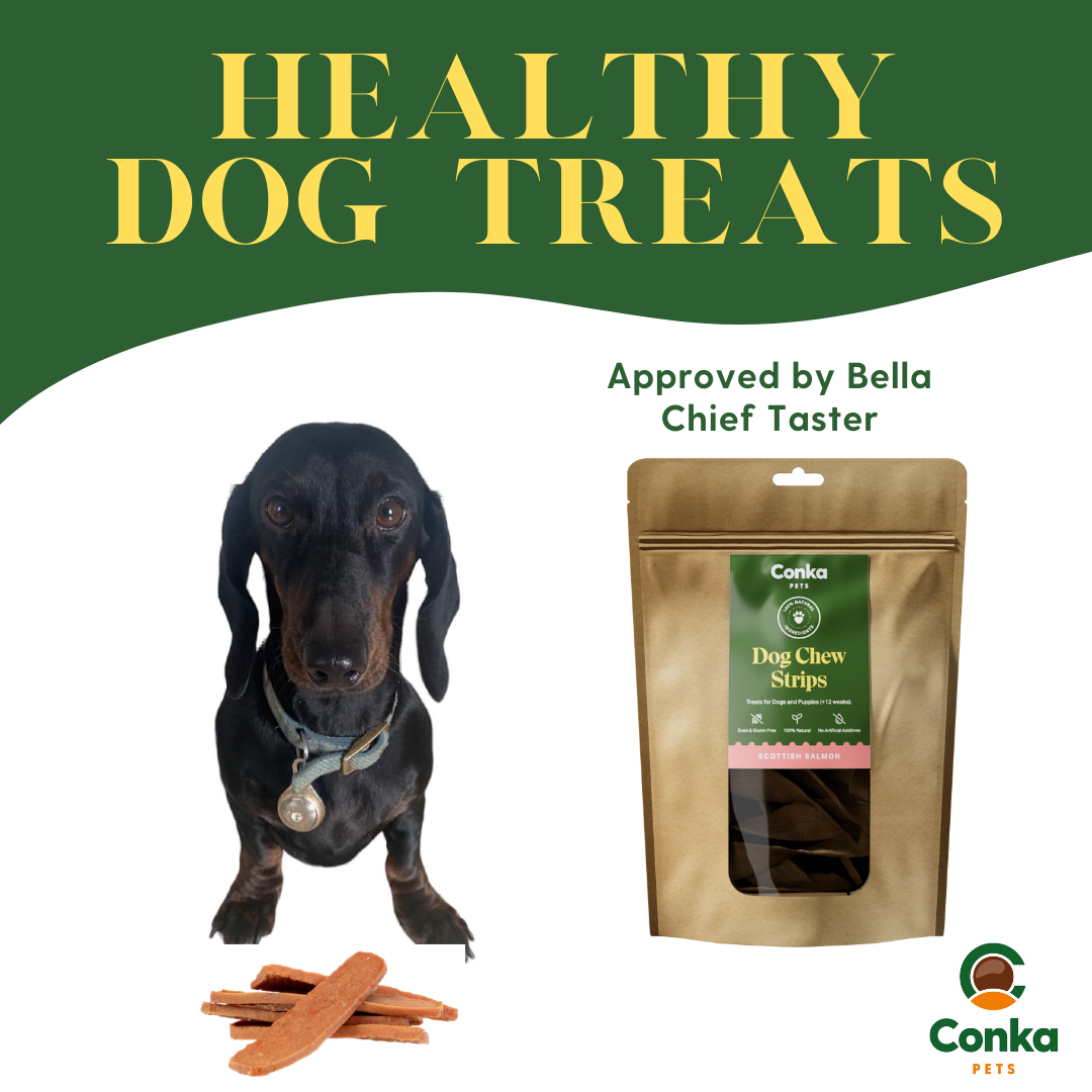 100% Natural Salmon Strips Dog Chews