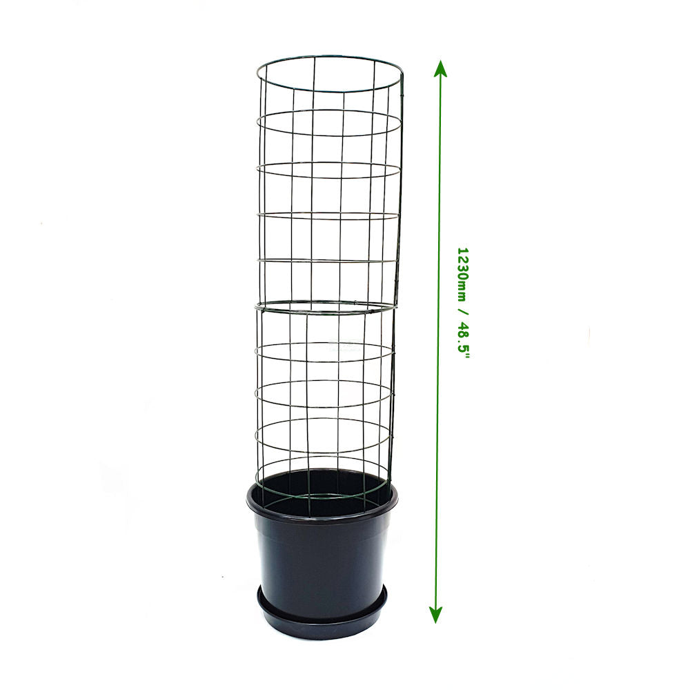 Flexigro Plant Support Towers - Including Pot and Saucer