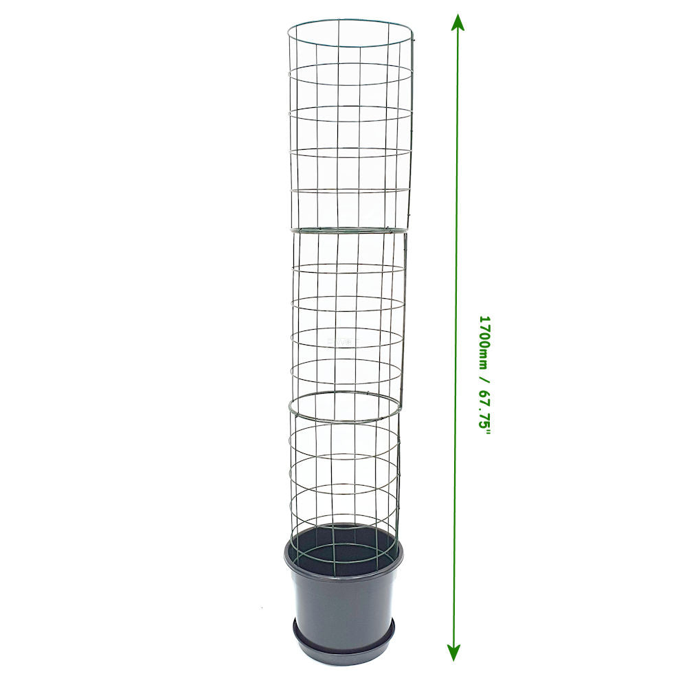 Flexigro Plant Support Towers - Including Pot and Saucer