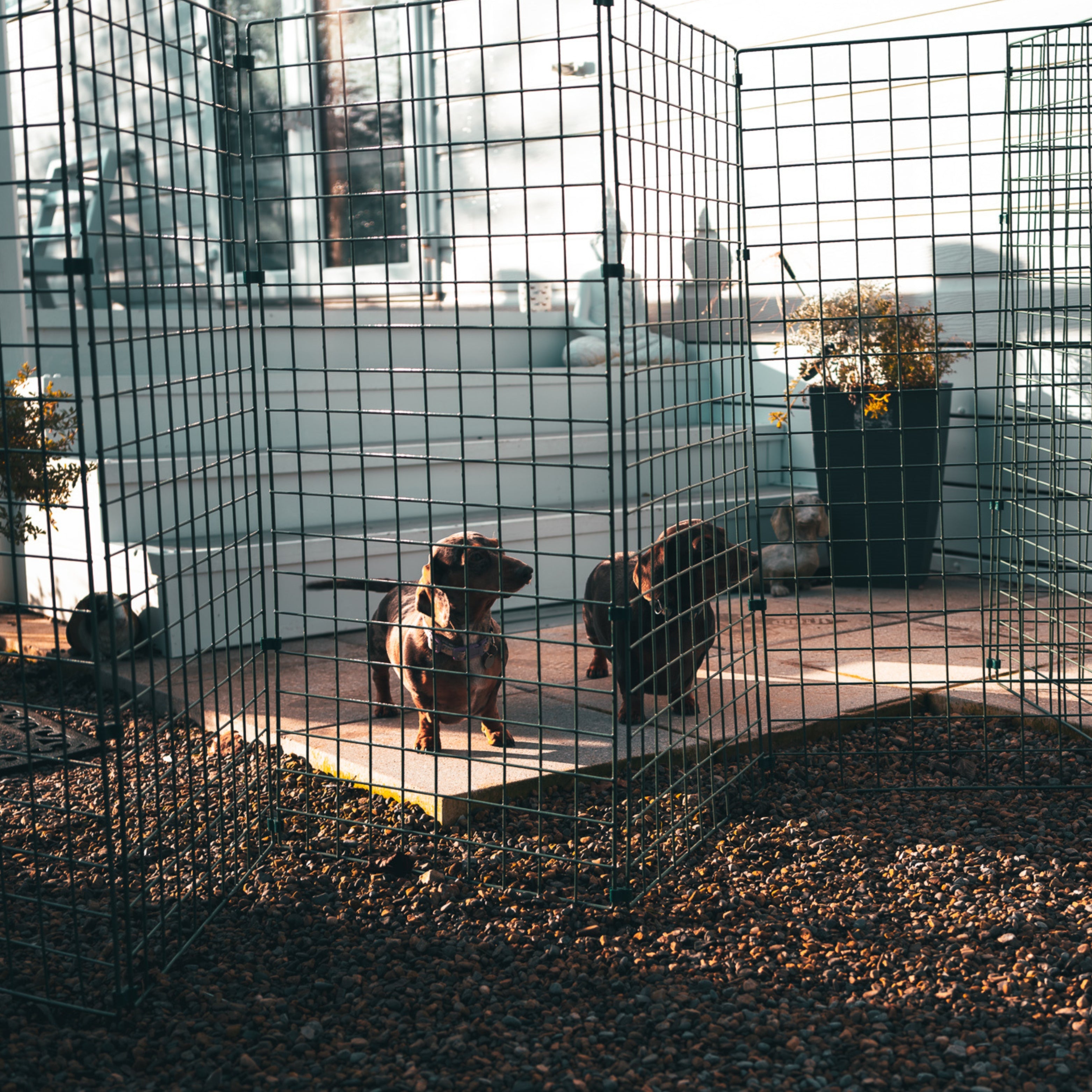 1m High Folding Dog Fence