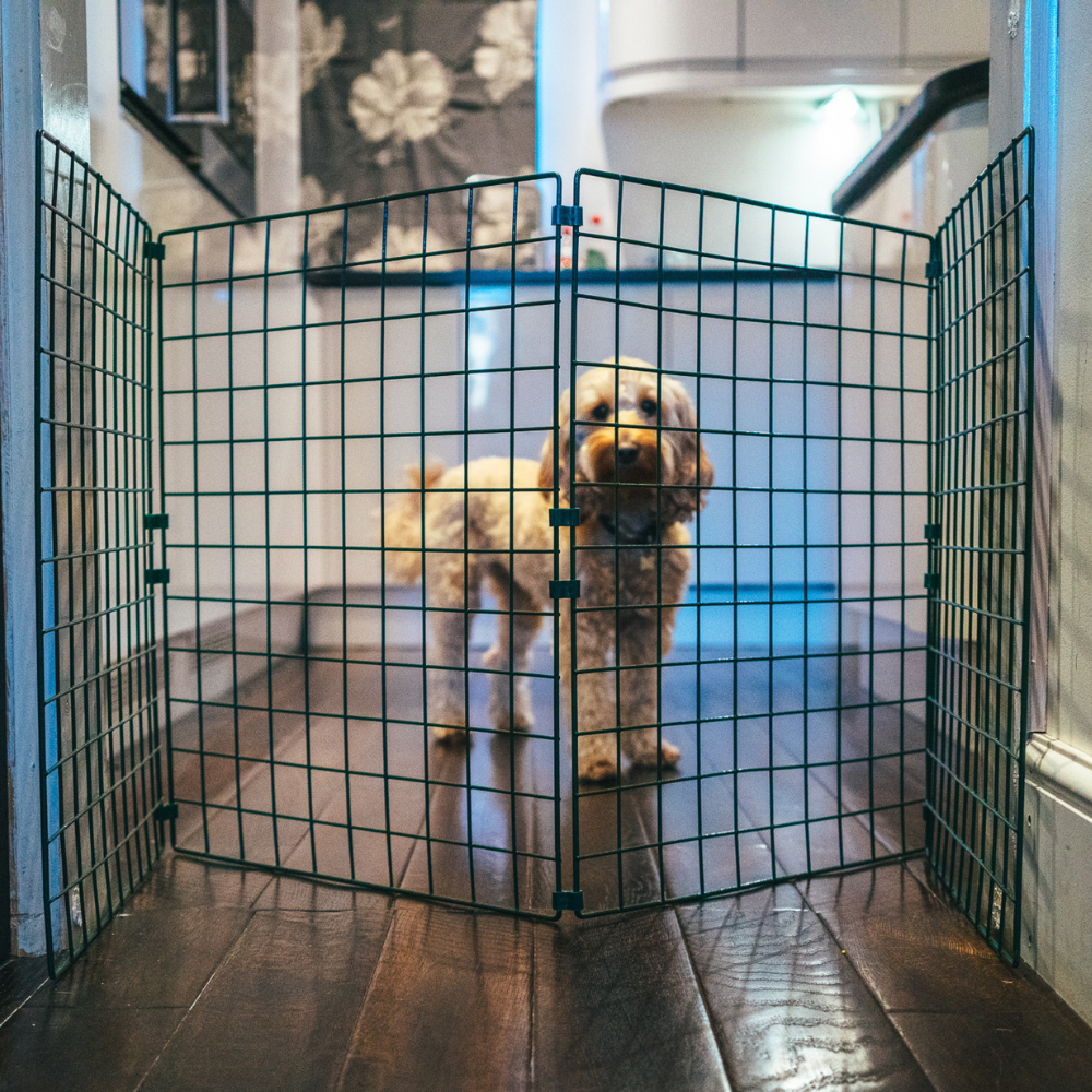 Room/Hallway Dog Fence Divider (50mm Mesh)