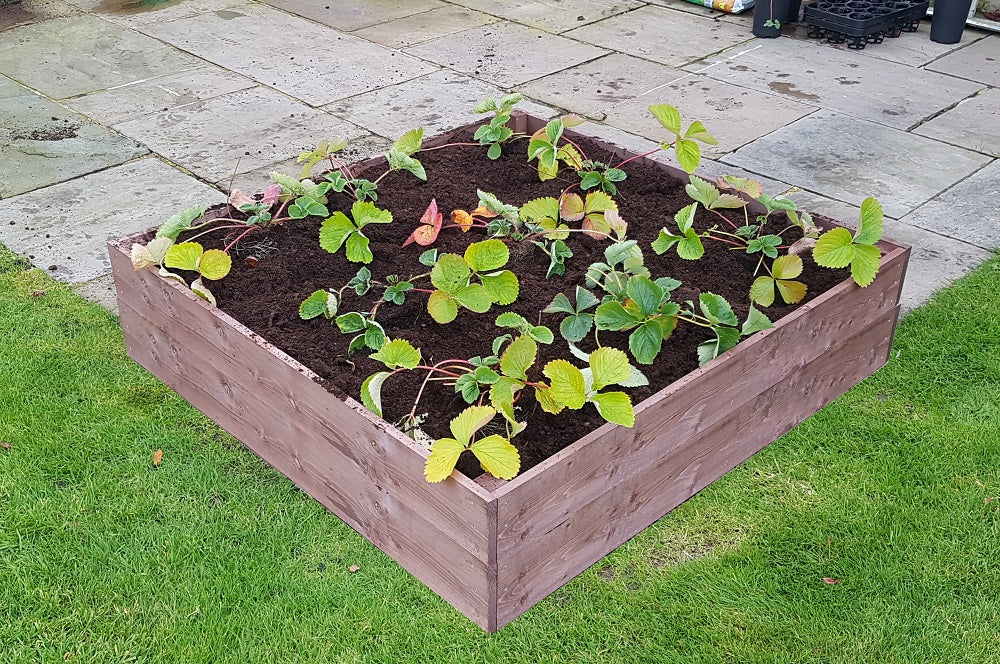 4ft x 8ft Raised Bed Complete With Free Irrigation Kit