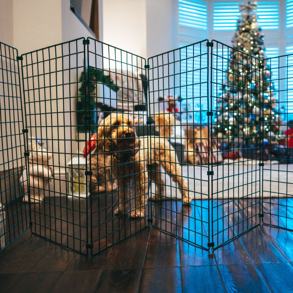 Room/Hallway Dog Fence Divider (50mm Mesh)