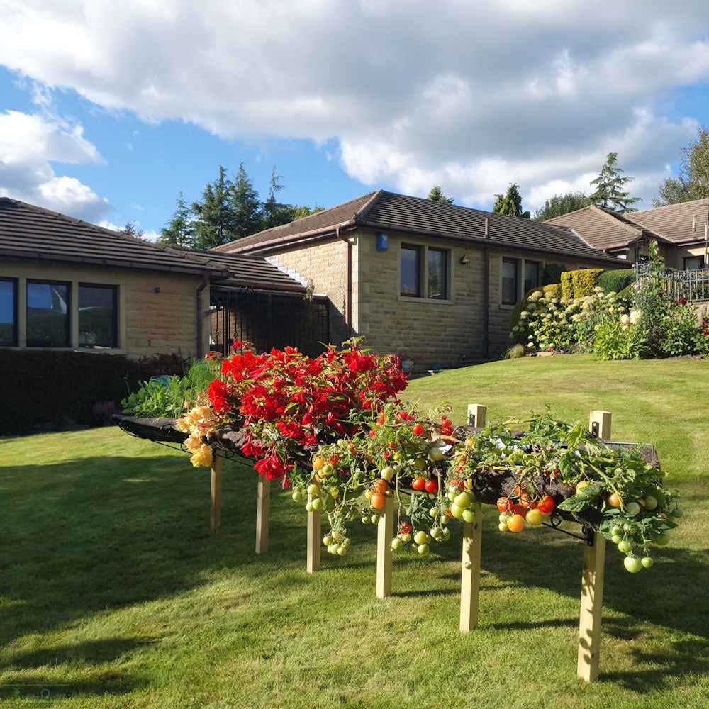 Elevated Raised Bed Growing Platform