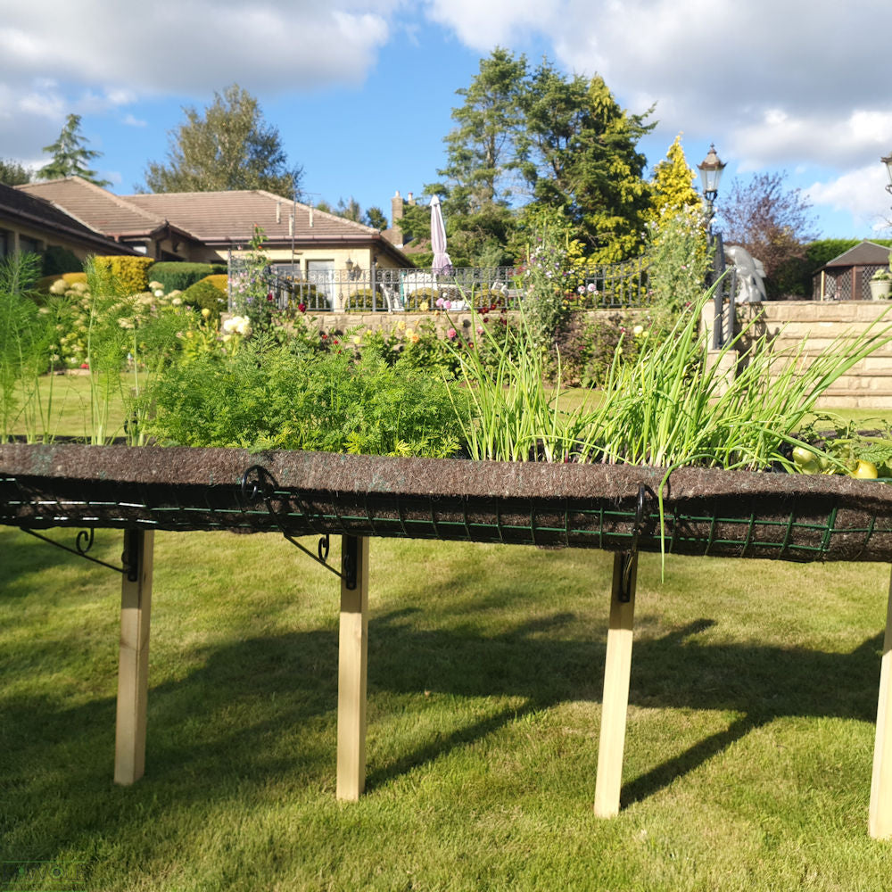 Elevated Raised Bed Growing Platform