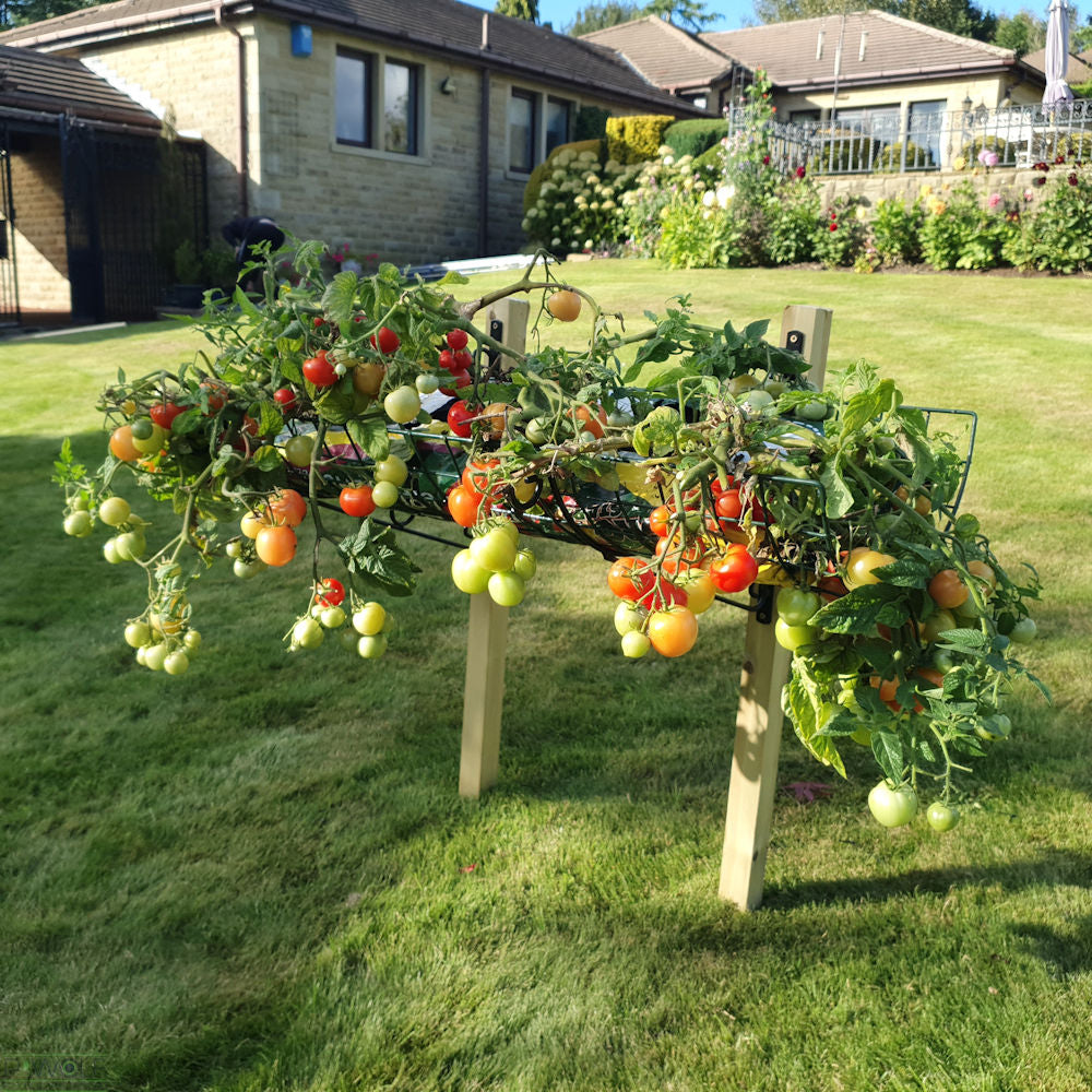 Elevated Raised Bed Growing Platform