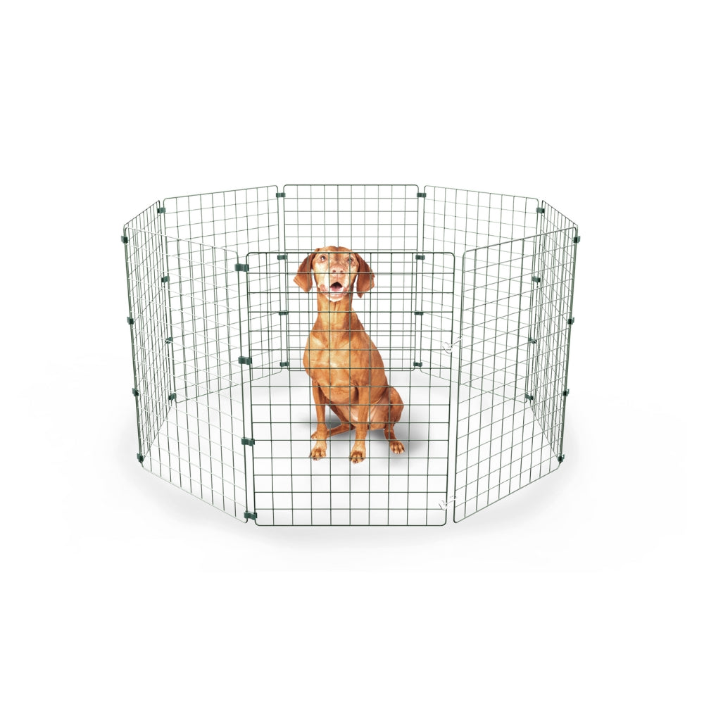 Dog/Puppy Pen's (50mm Mesh)