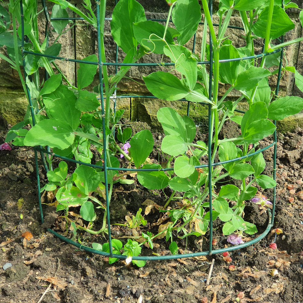 Flexigro® Plant Support – Full Circle