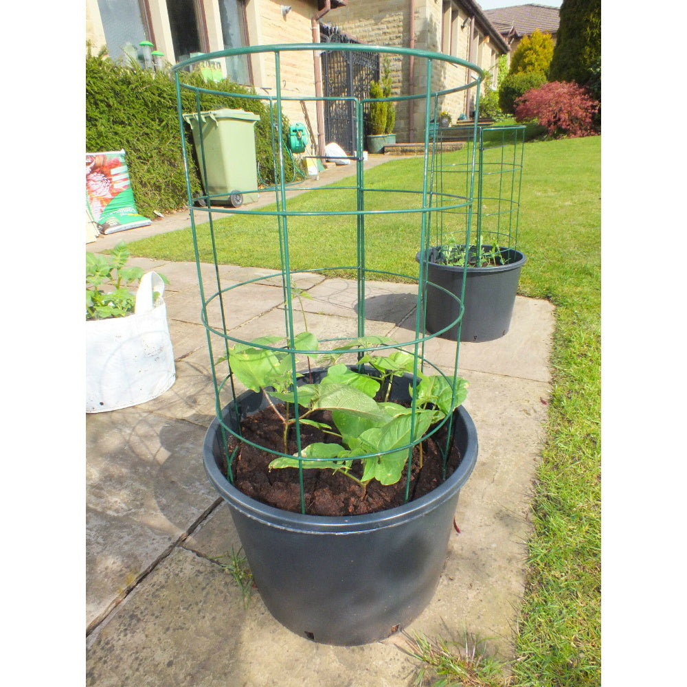 Flexigro Plant Support Towers - Including Pot and Saucer