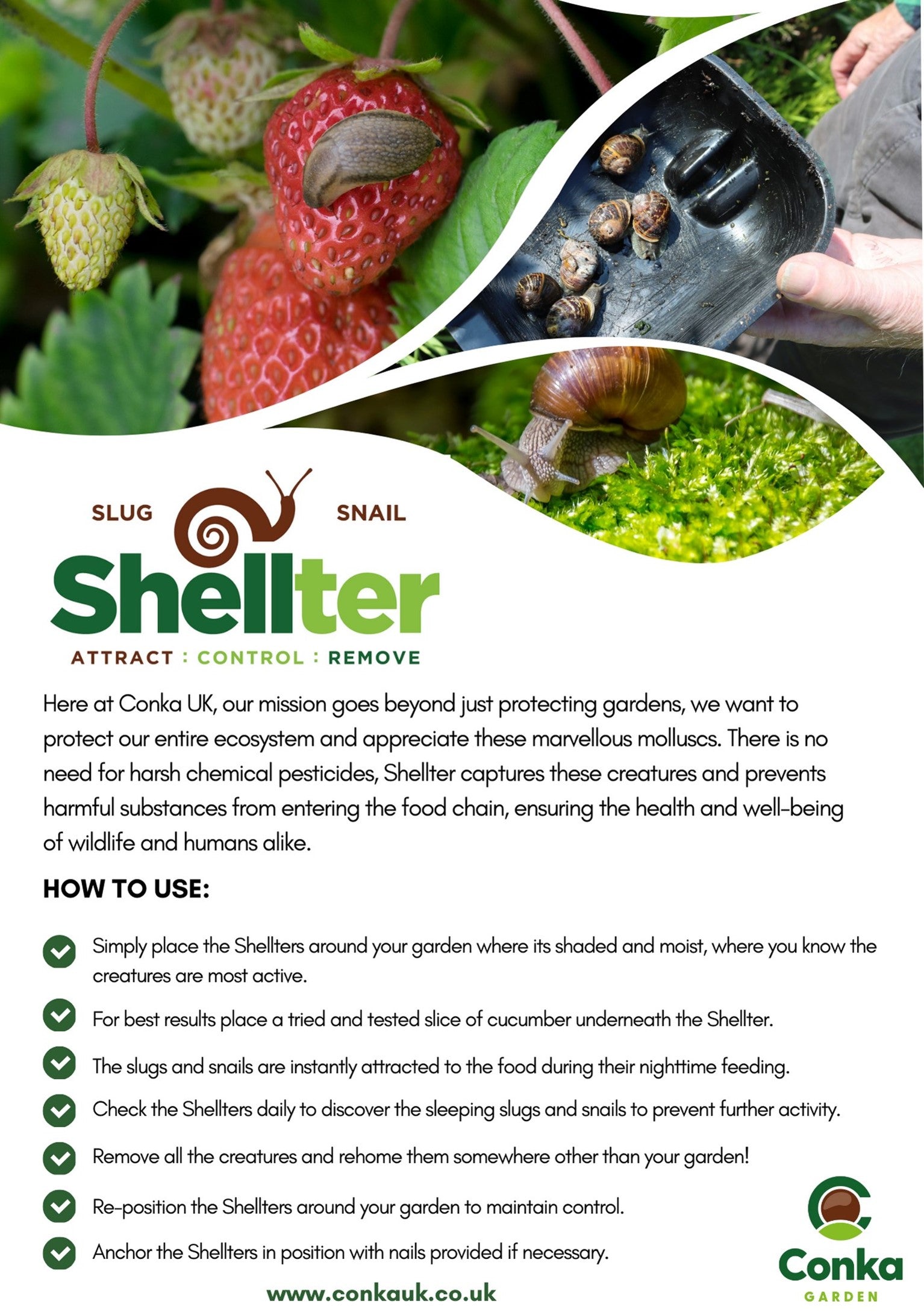 Keeping Slugs and Snails at Bay: A Comprehensive Guide by Conka UK