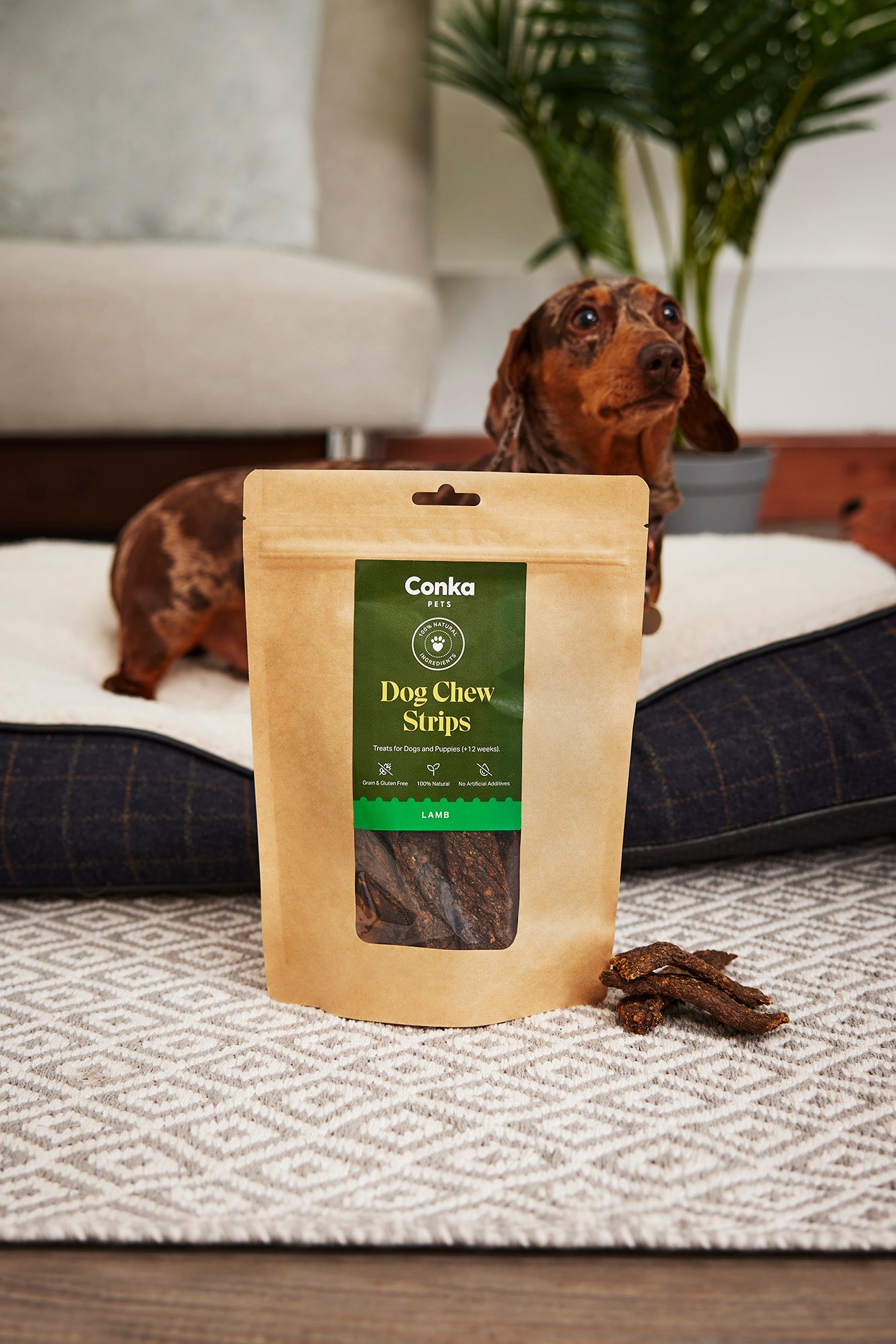 Reasons why Natural Dog Treats Matter