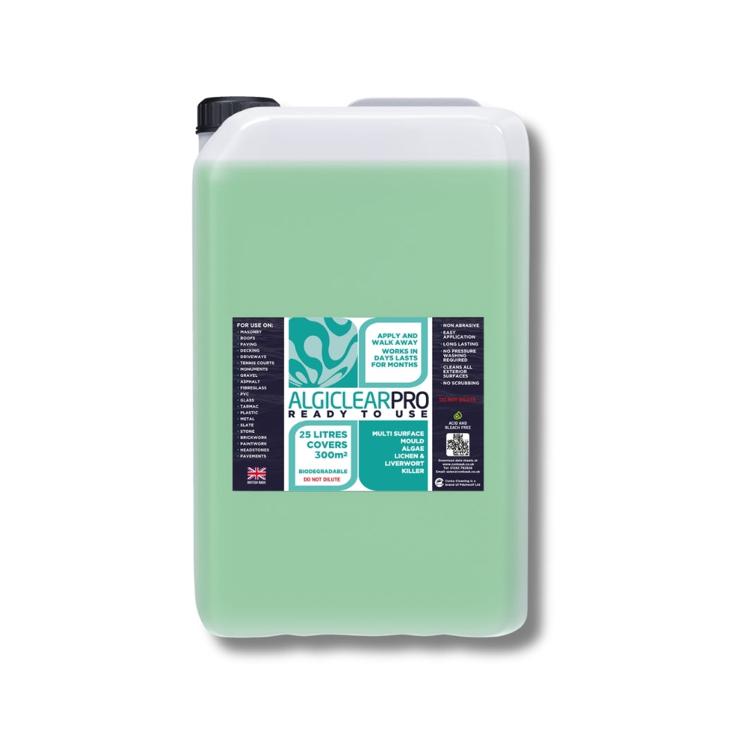 Algae killer concentrate for outdoor surfaces
