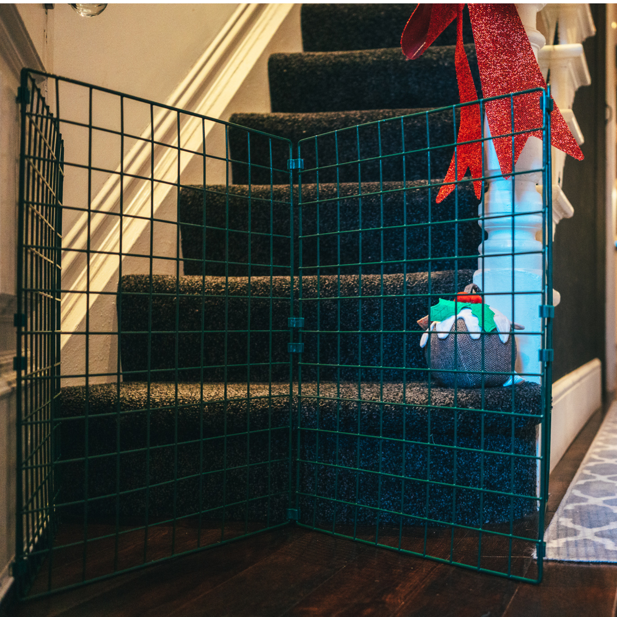 Dog gate for the bottom of the stairs