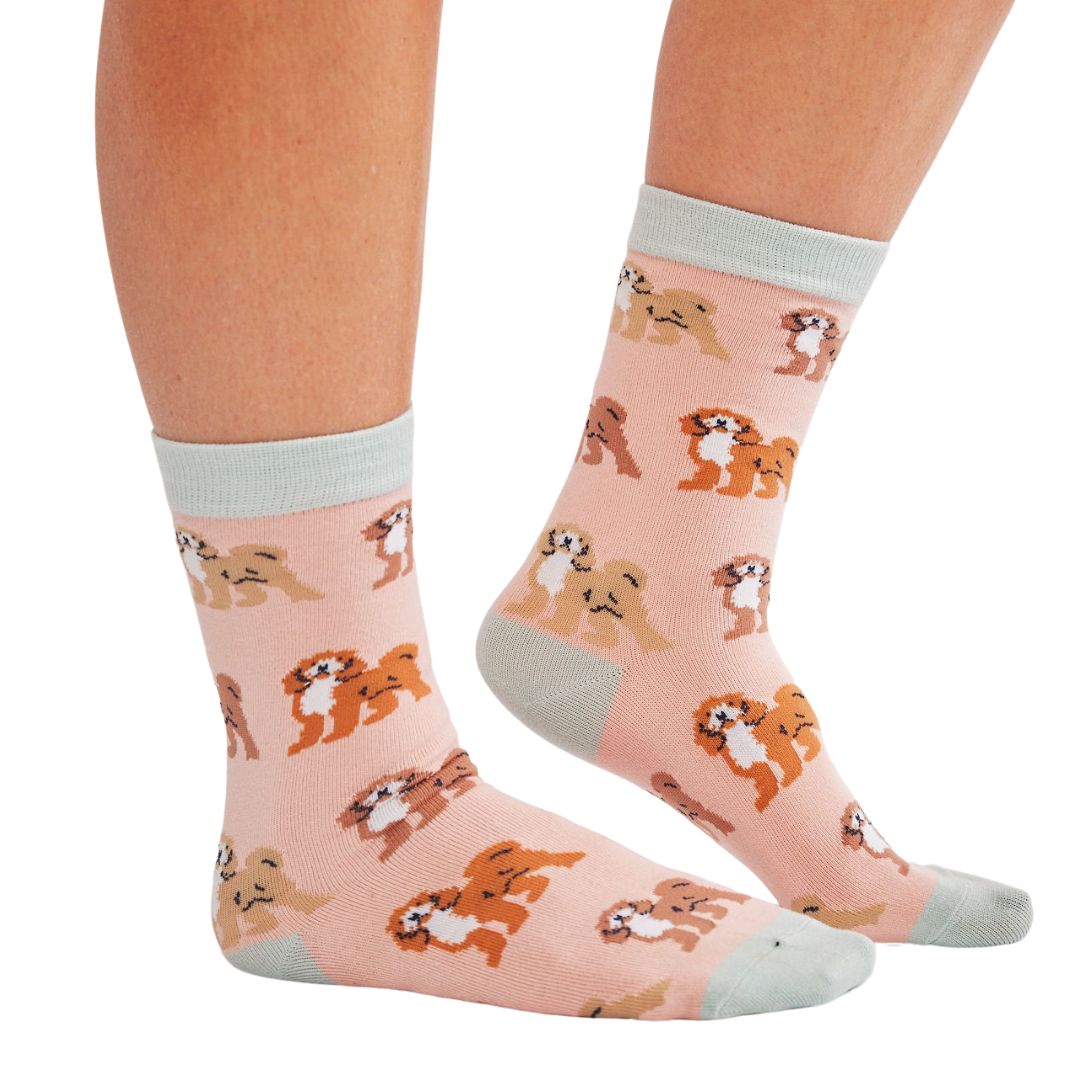 Socks with a cockapoo design