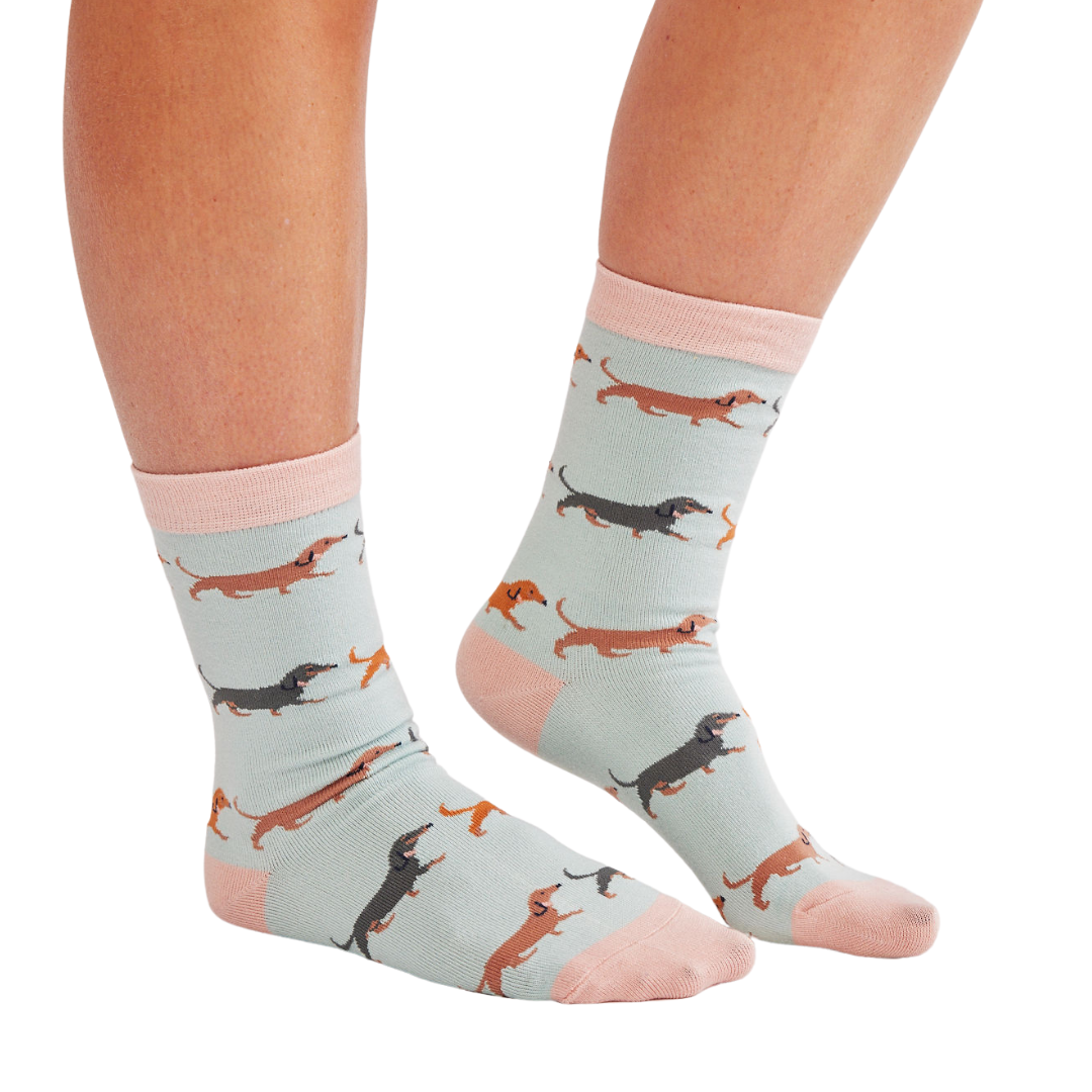 Socks with a dachshund design