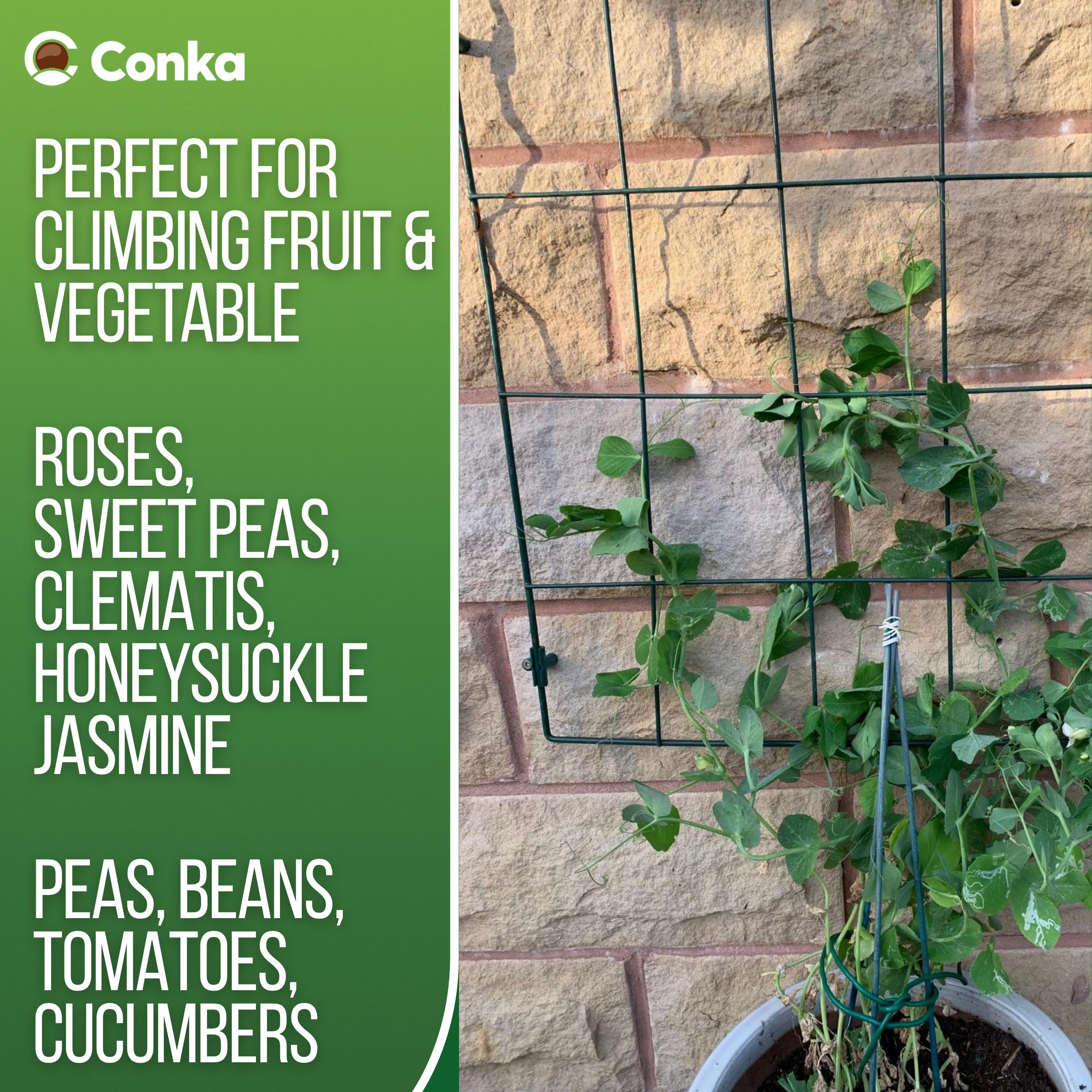 Flexigro® Plant Support – Full Circle