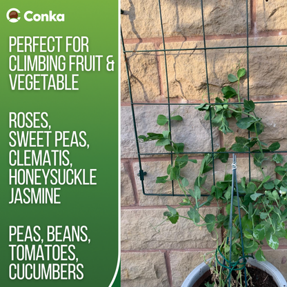 Flexigro® Plant Support – Full Circle