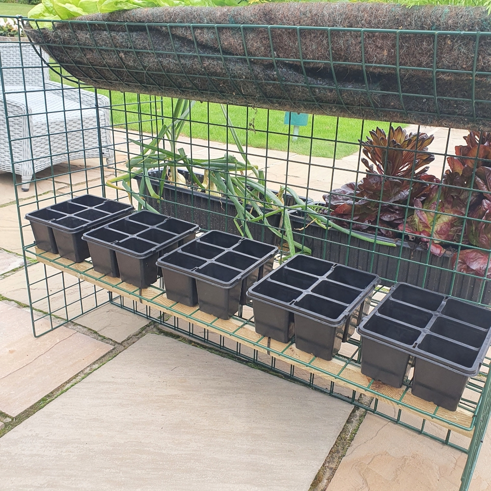 Elevated Raised Bed Growing Platform