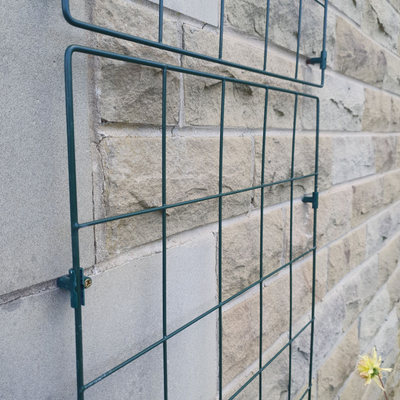 Wall Plant Support Mesh For Climbing Climbers Clematis Panel