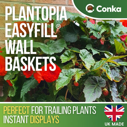 Plantopia/Easy Fill® Wall Basket Black or Green